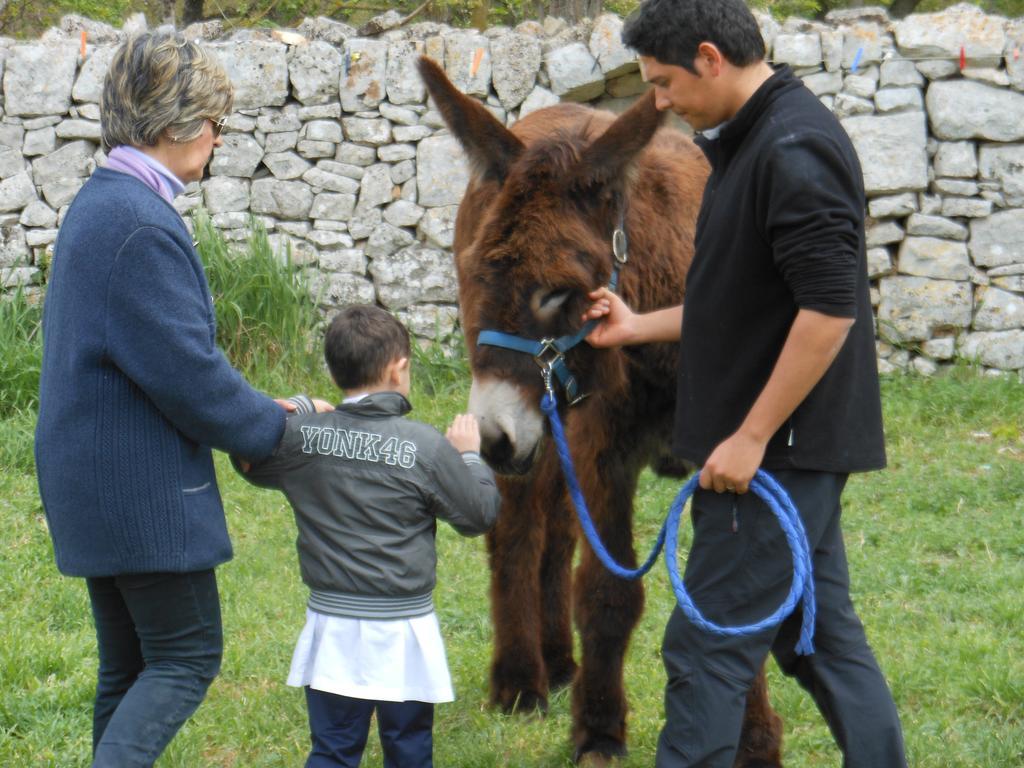 Masseria Ferri 오스투니 외부 사진