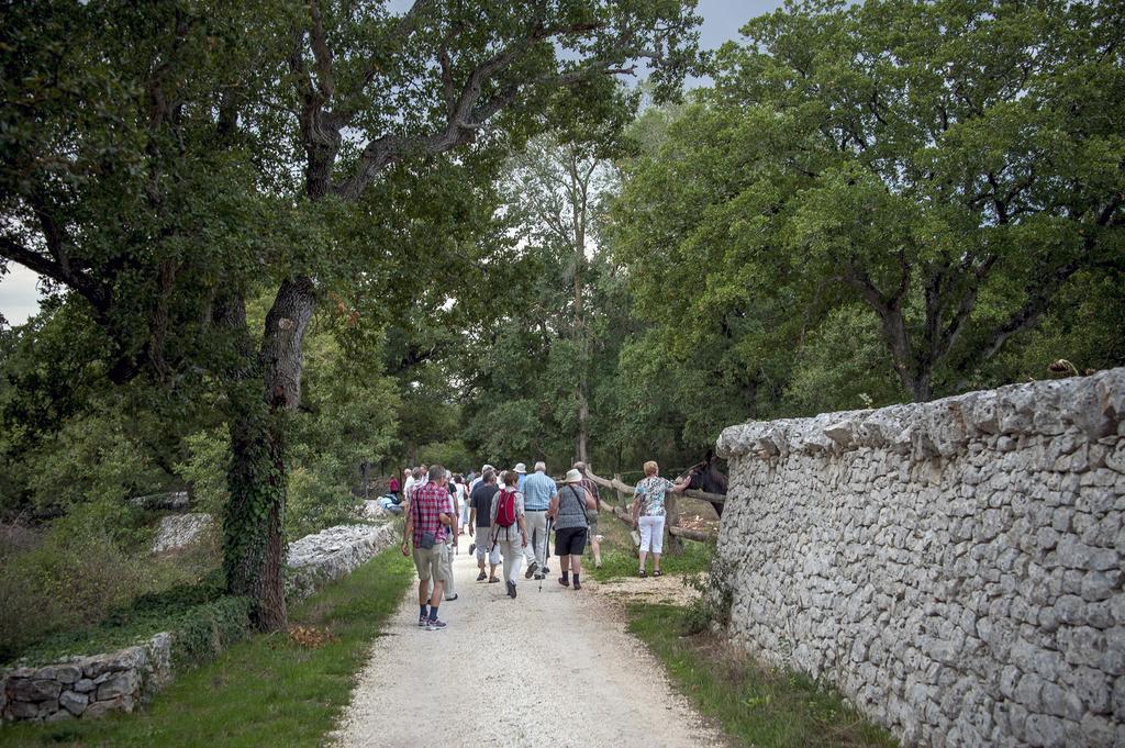 Masseria Ferri 오스투니 외부 사진